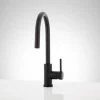 Budget 👏 Signature Hardware Ravenel Single Handle Pull Down Kitchen Faucet in Matte Black 🛒
