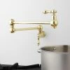 Best reviews of 👏 Signature Hardware Vivan Two Handle Lever Pot Filler in Polished Brass 🧨