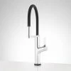 Top 10 🤩 Signature Hardware Fanning Single Handle Pull Out Kitchen Faucet in Polished Chrome ⌛