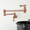 Outlet 🌟 Signature Hardware Vivan Two Handle Lever Pot Filler in Antique Copper ✔️