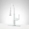 Best reviews of 🧨 Signature Hardware Williston Single Handle Pull Down Kitchen Faucet in Chrome 💯